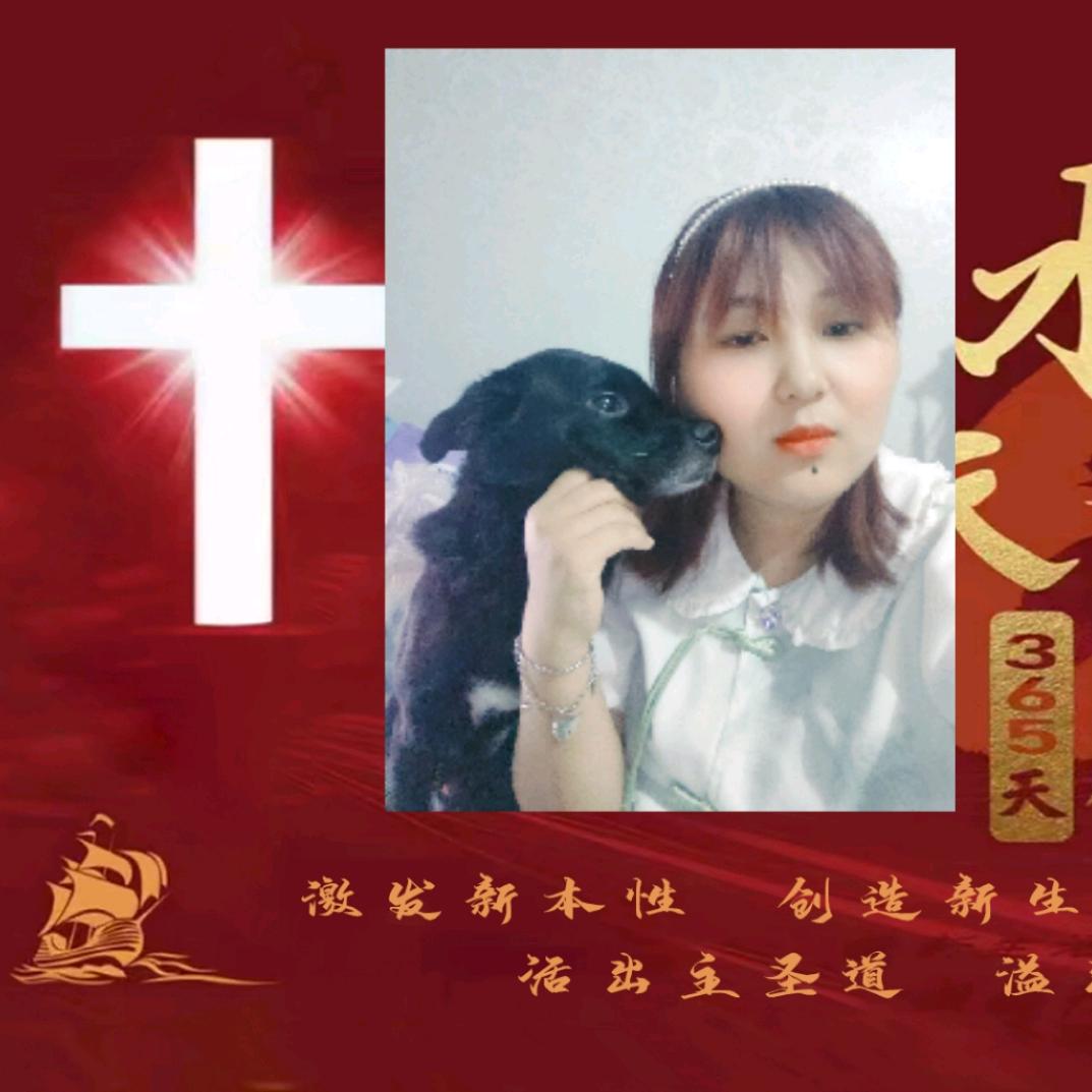 七洋十一《筹备中》头像
