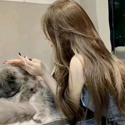 财神爷的小宝贝