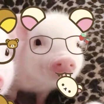 天线断路宝宝🏸