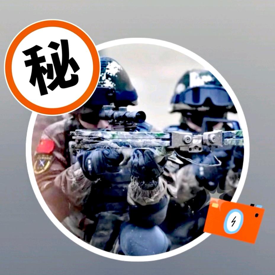 亮剑精神