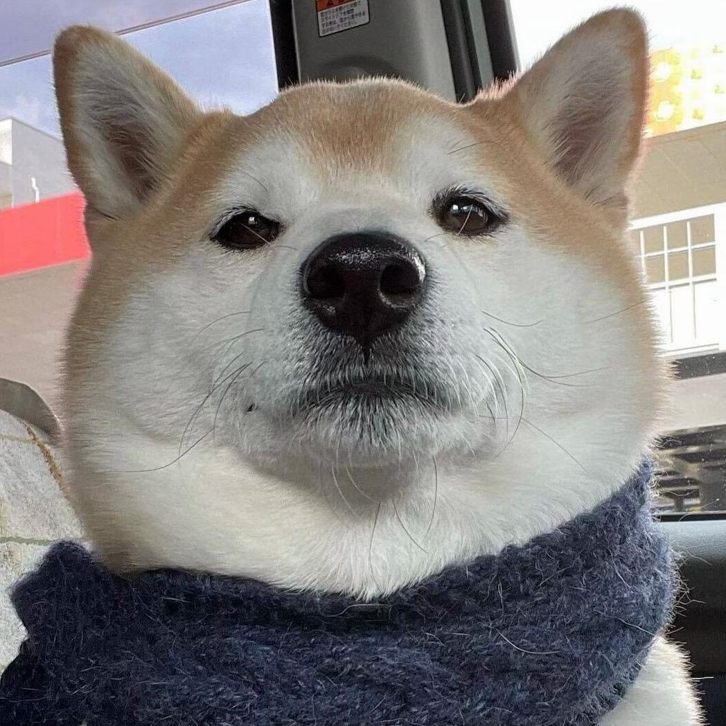 陳陳