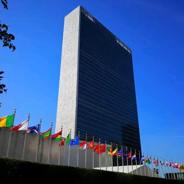 明月照我心5348959756195