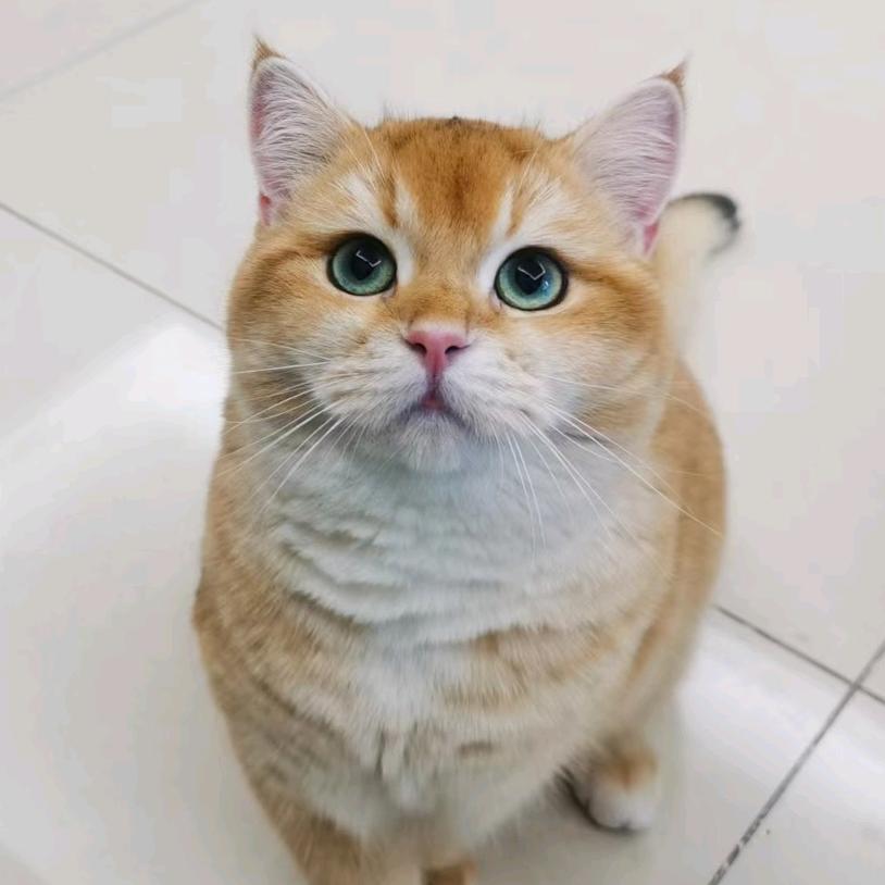 云淡风轻～