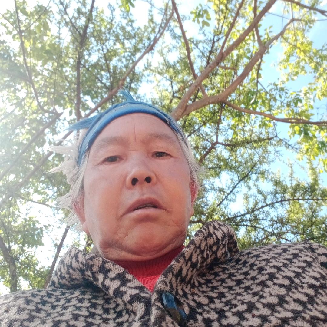 随风去流浪