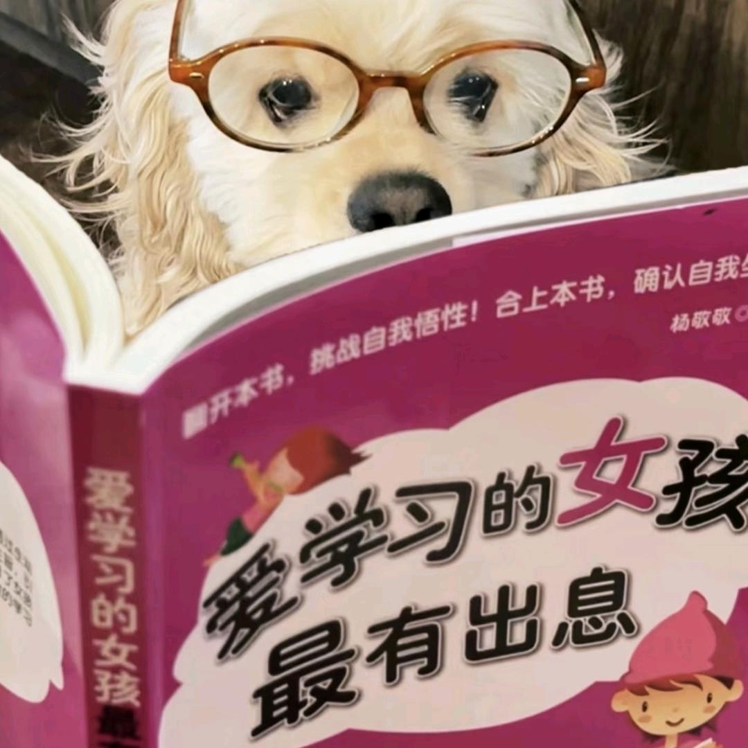把书读烂