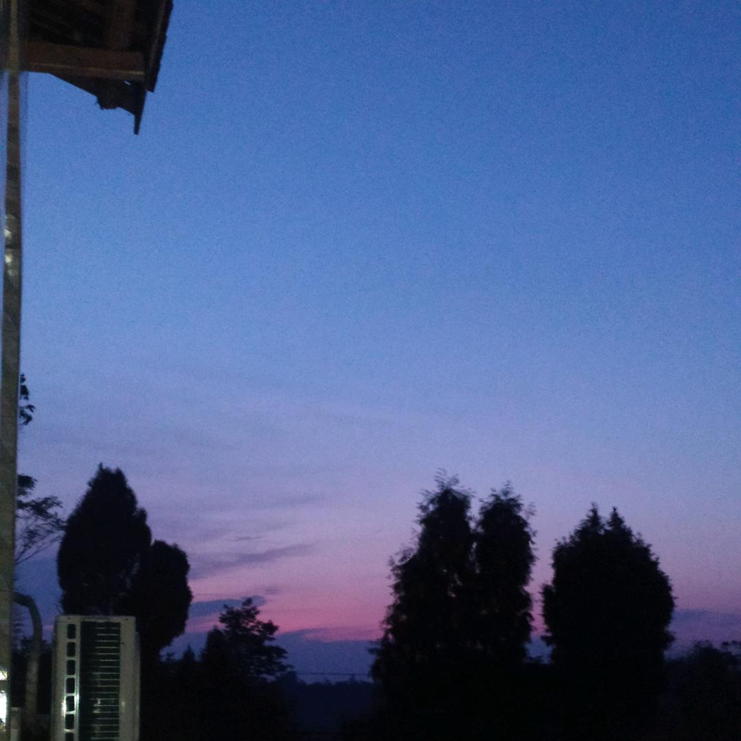 夜