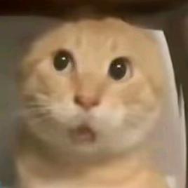 芝士玉米（血亏卖）