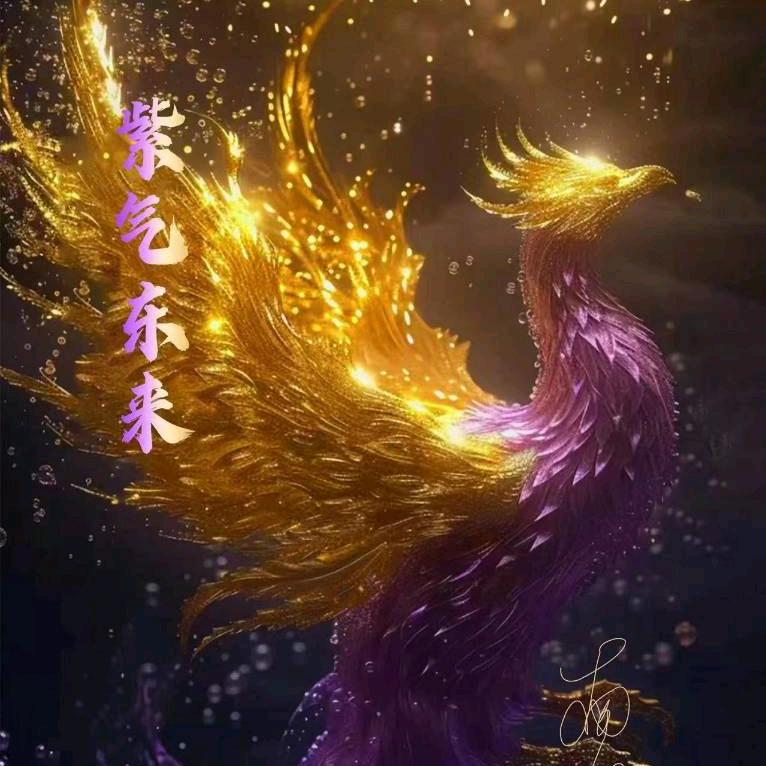 钱妹子