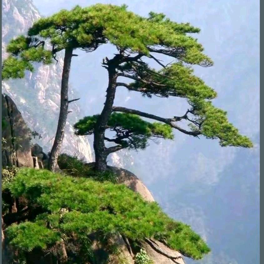 沧海桑田