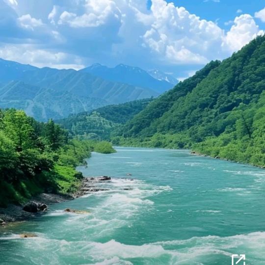 马家河~小马哥