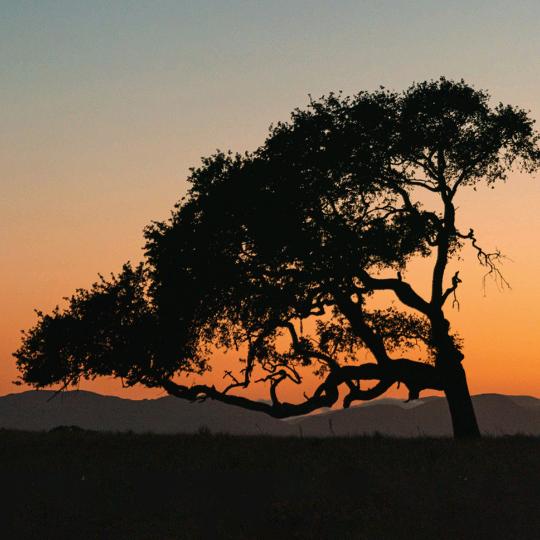 或许他是你朋友