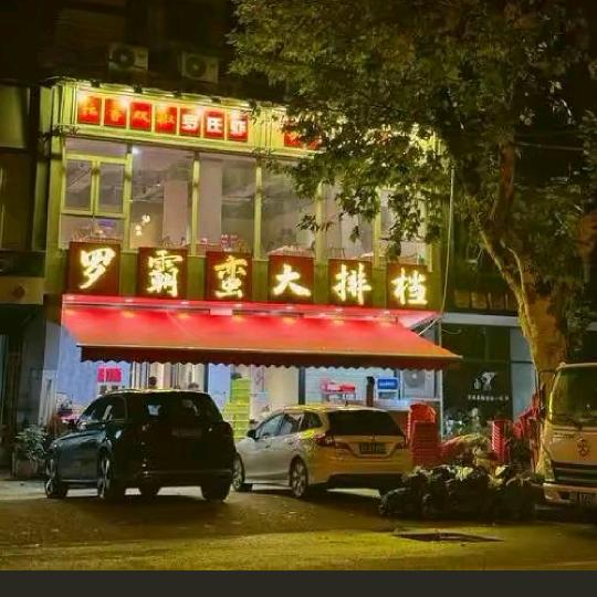 我家旺财喜欢看Cp剧头像