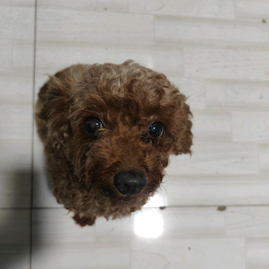 大宝包