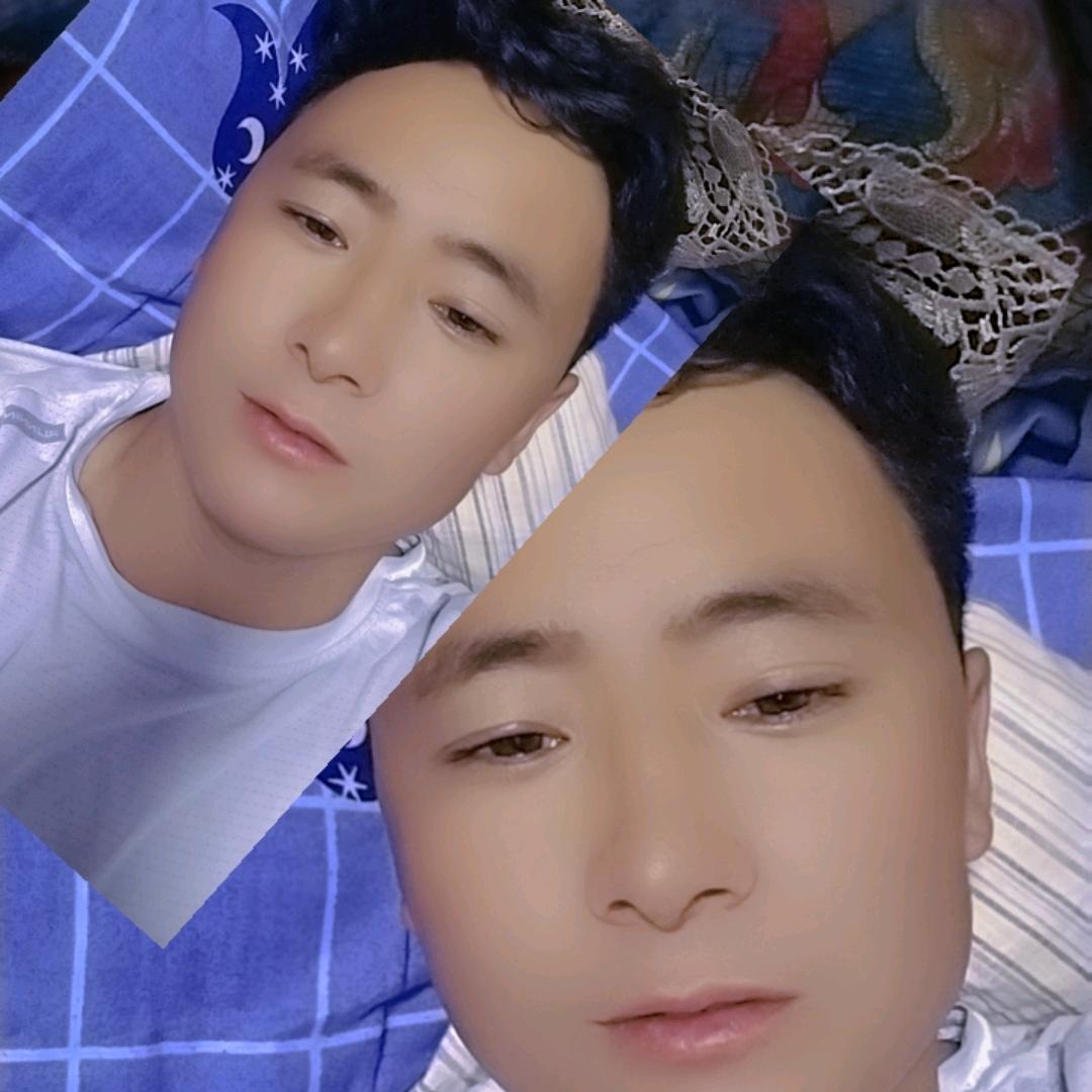 小蜜熊