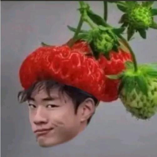 小橘