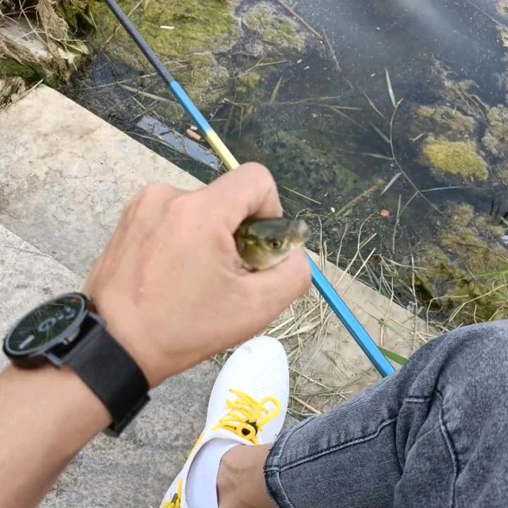 缘分一道桥