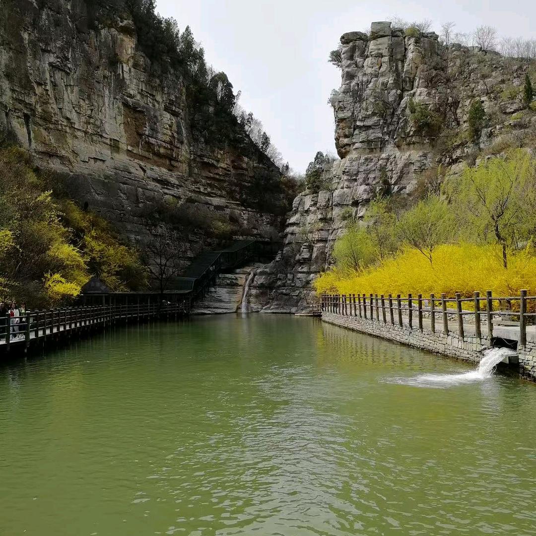 废品站😎Sa儿他爹