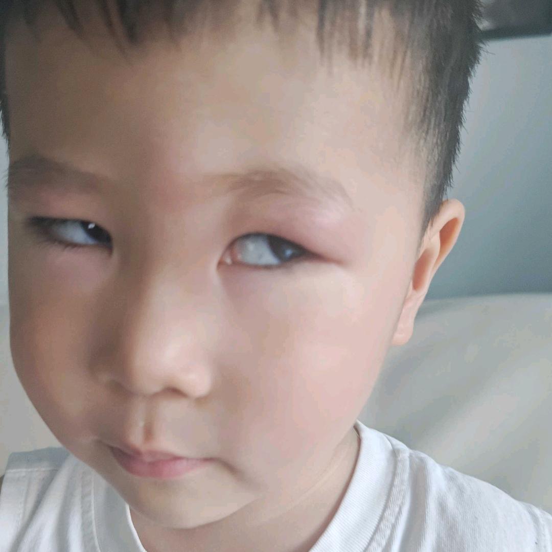 阅南山境-王相波