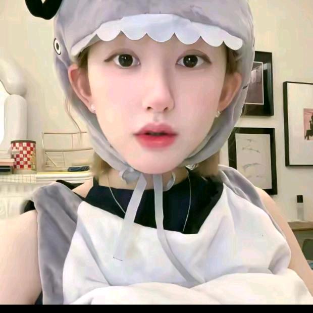 露思-推荐官🫕