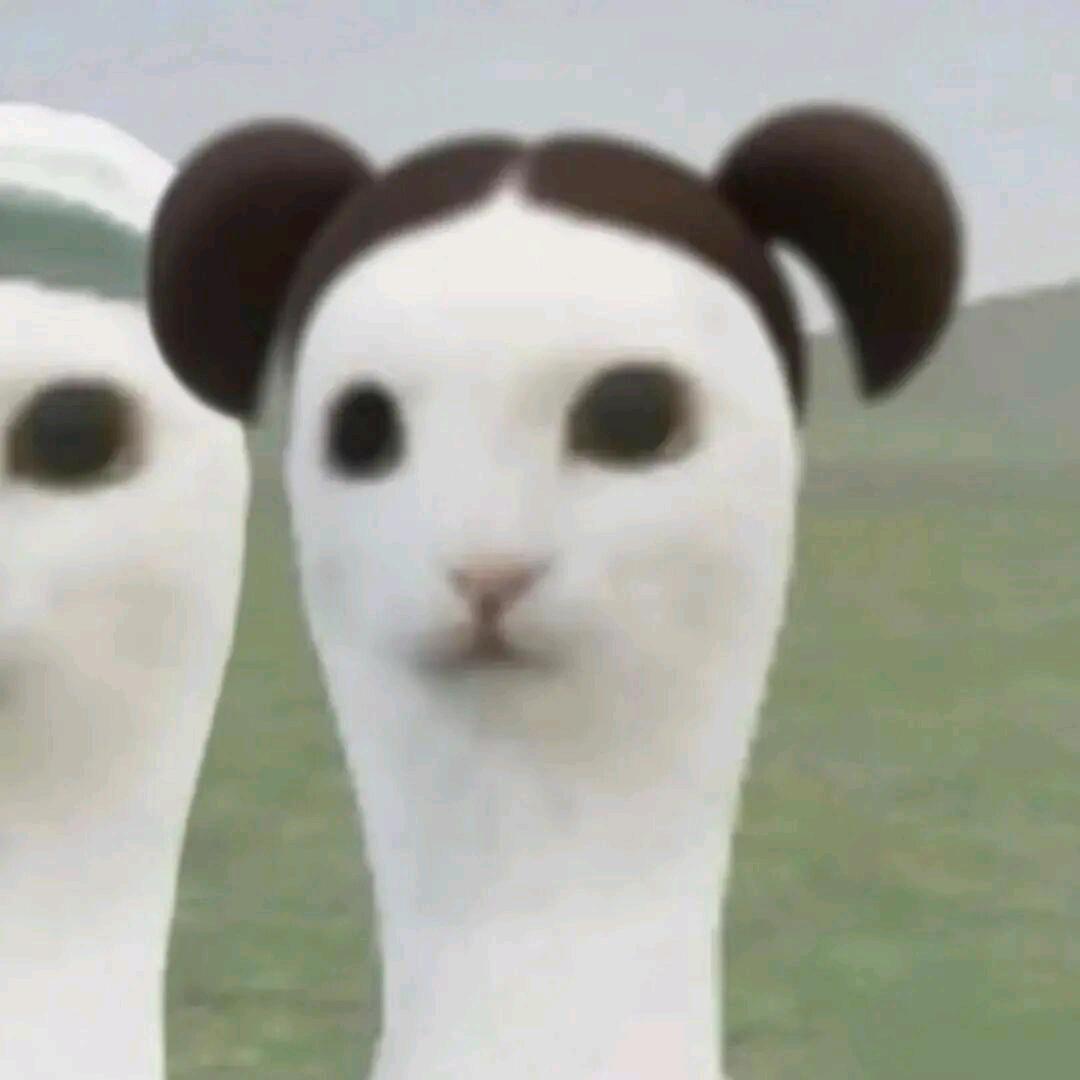 意宛^O^