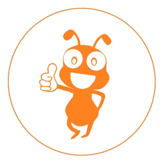 蚂蚁办公电脑服务