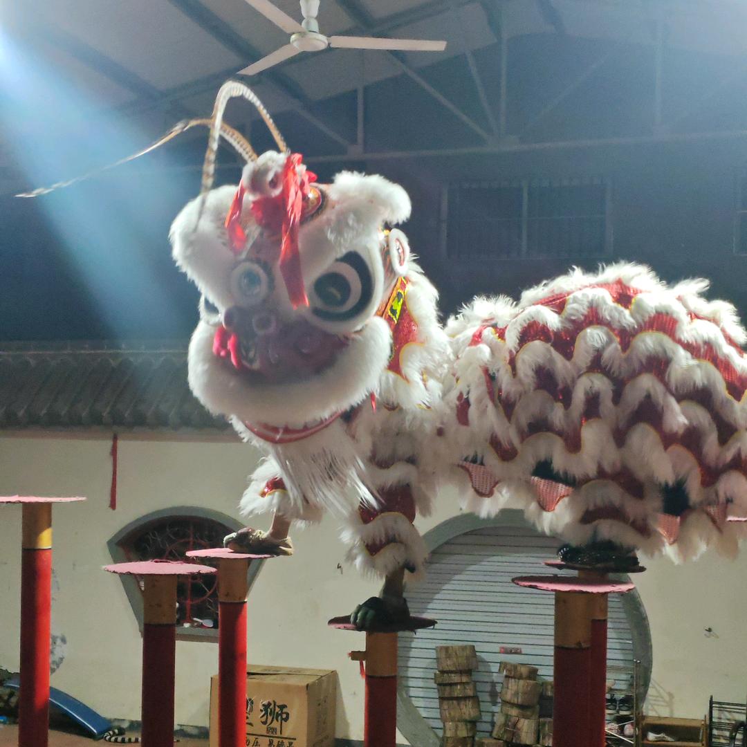 新东兴舞狮