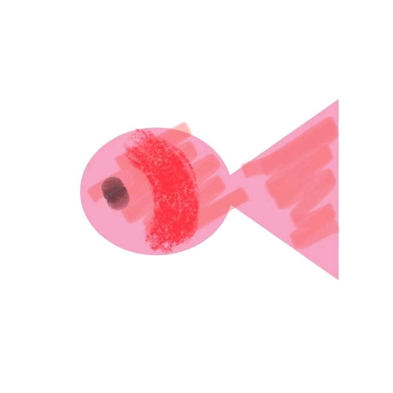 粉红色失眠小鱼