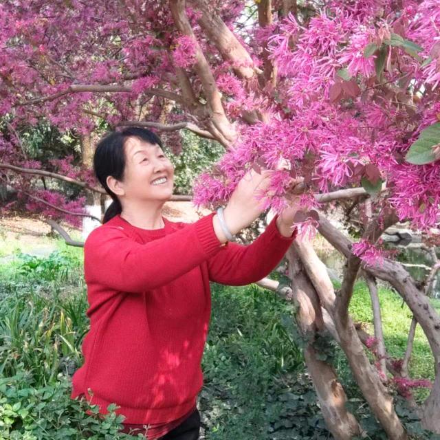 江姐