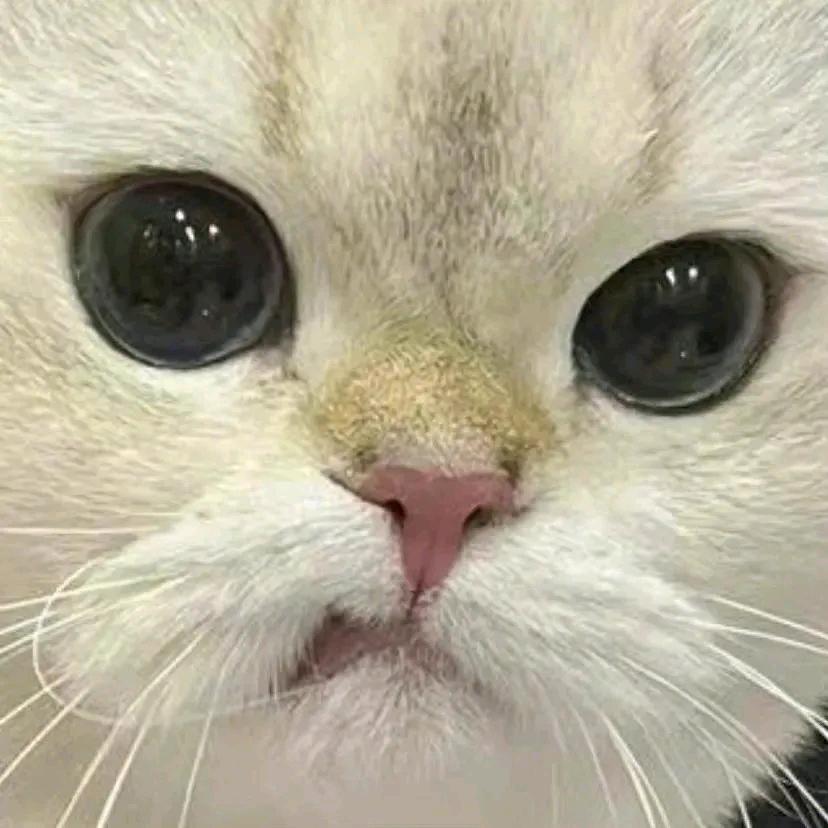 今晚去抓月亮💙