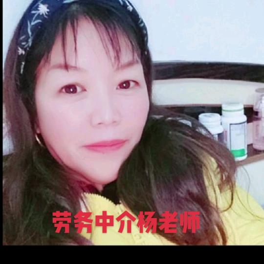 yang，杨姐