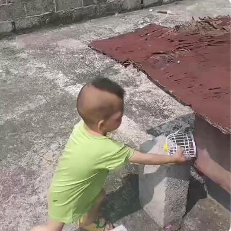 狗仔细看