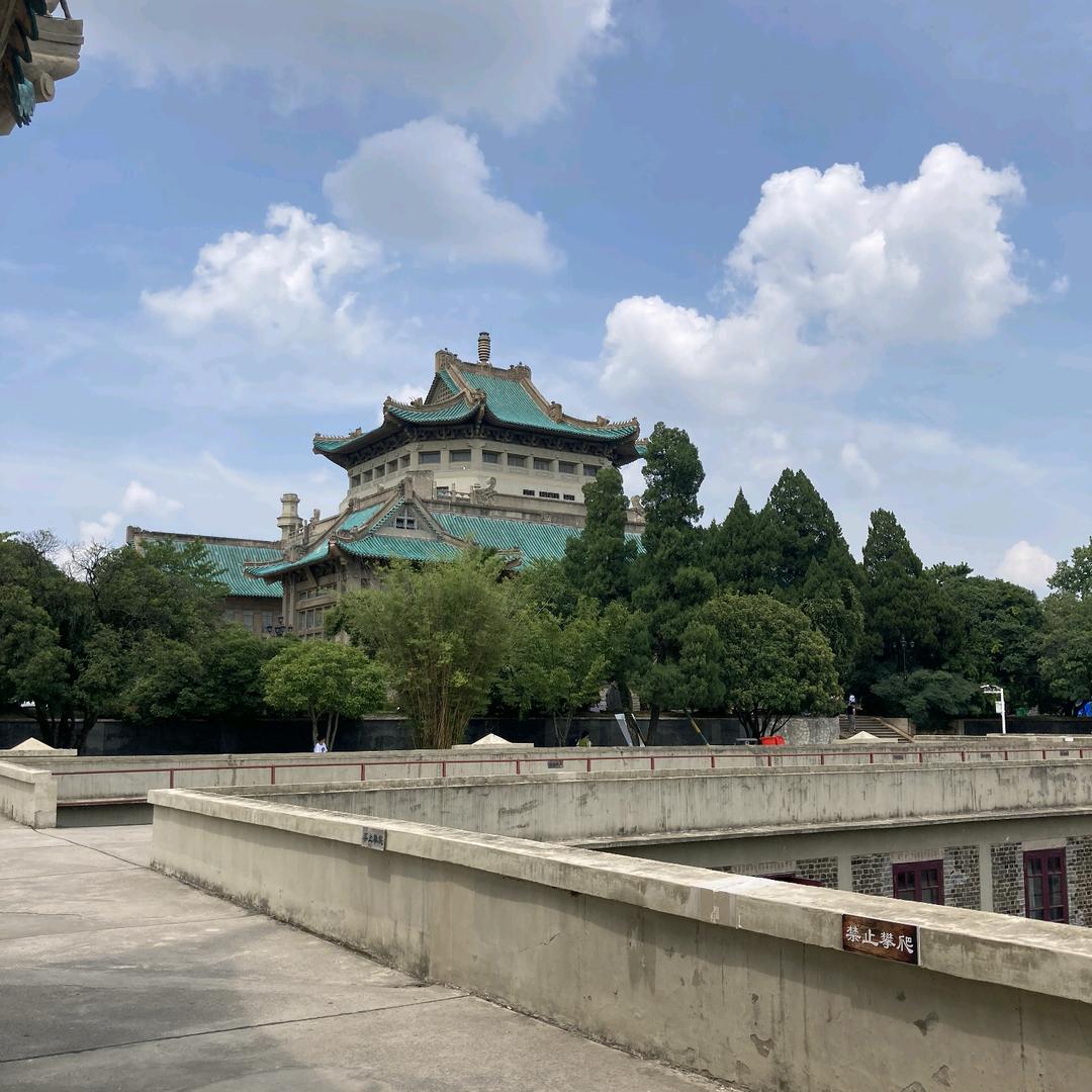 游钓白条