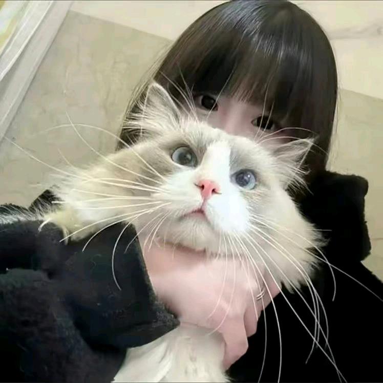 阿婷.