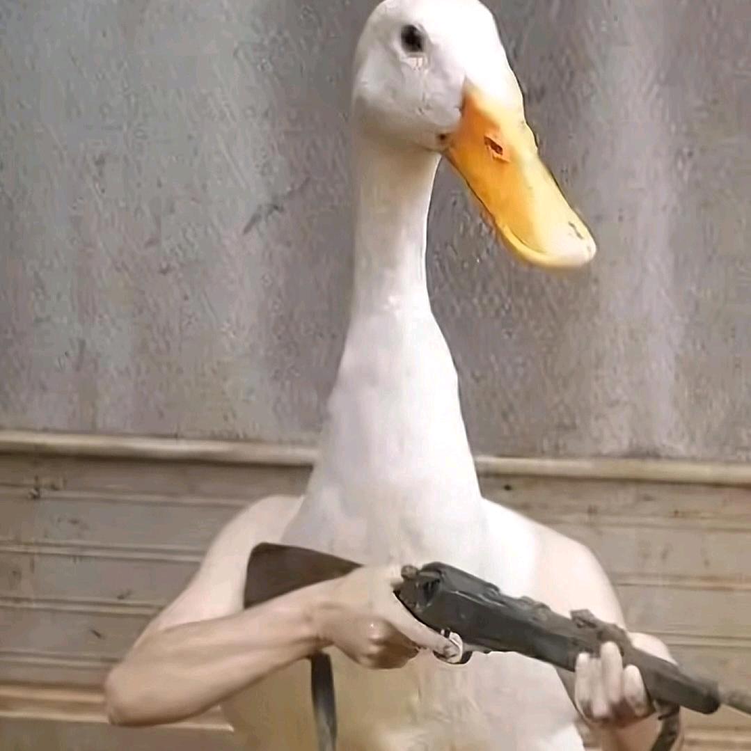 鸭力