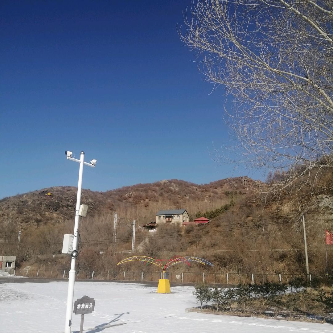 杨柳青青。