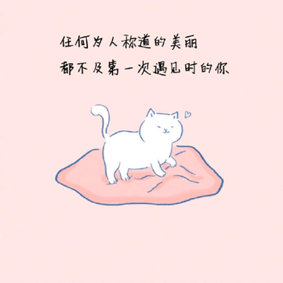 解忧杂货铺@