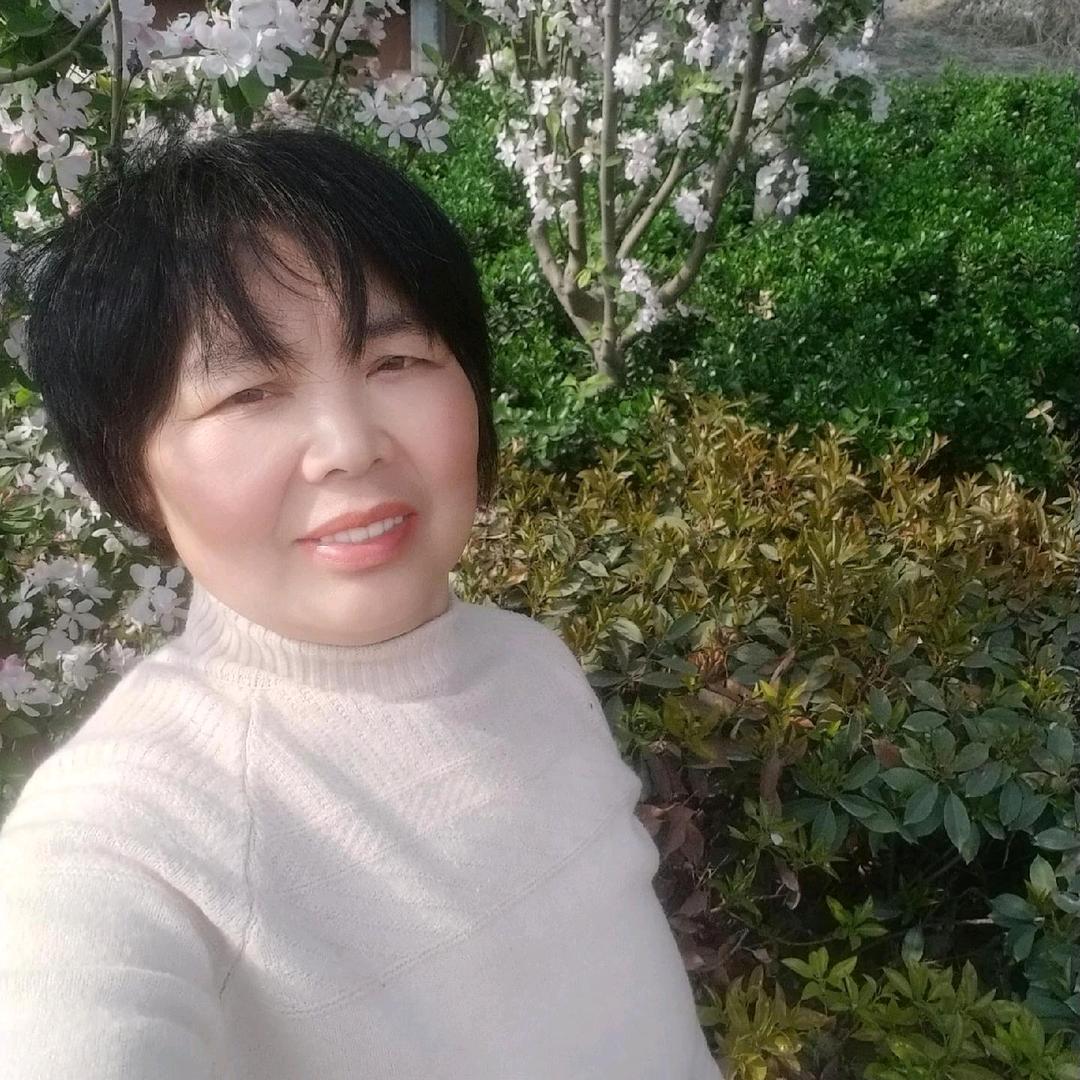 农村宋姐