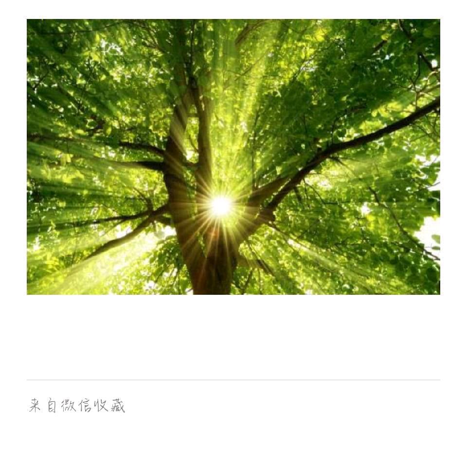 快乐每一天
