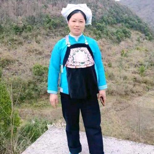 广西壮妹采草人