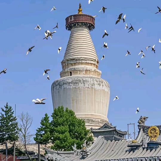 五台山静思