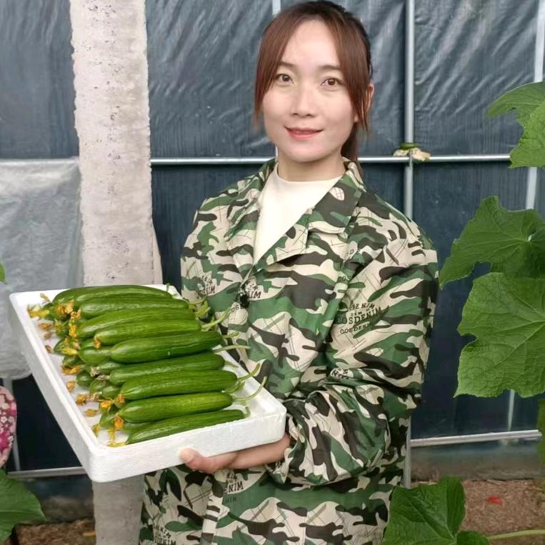 橘子的农村生活