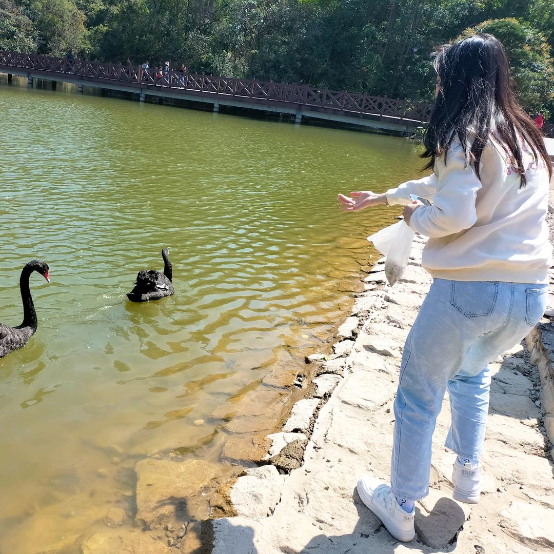 随风飘荡