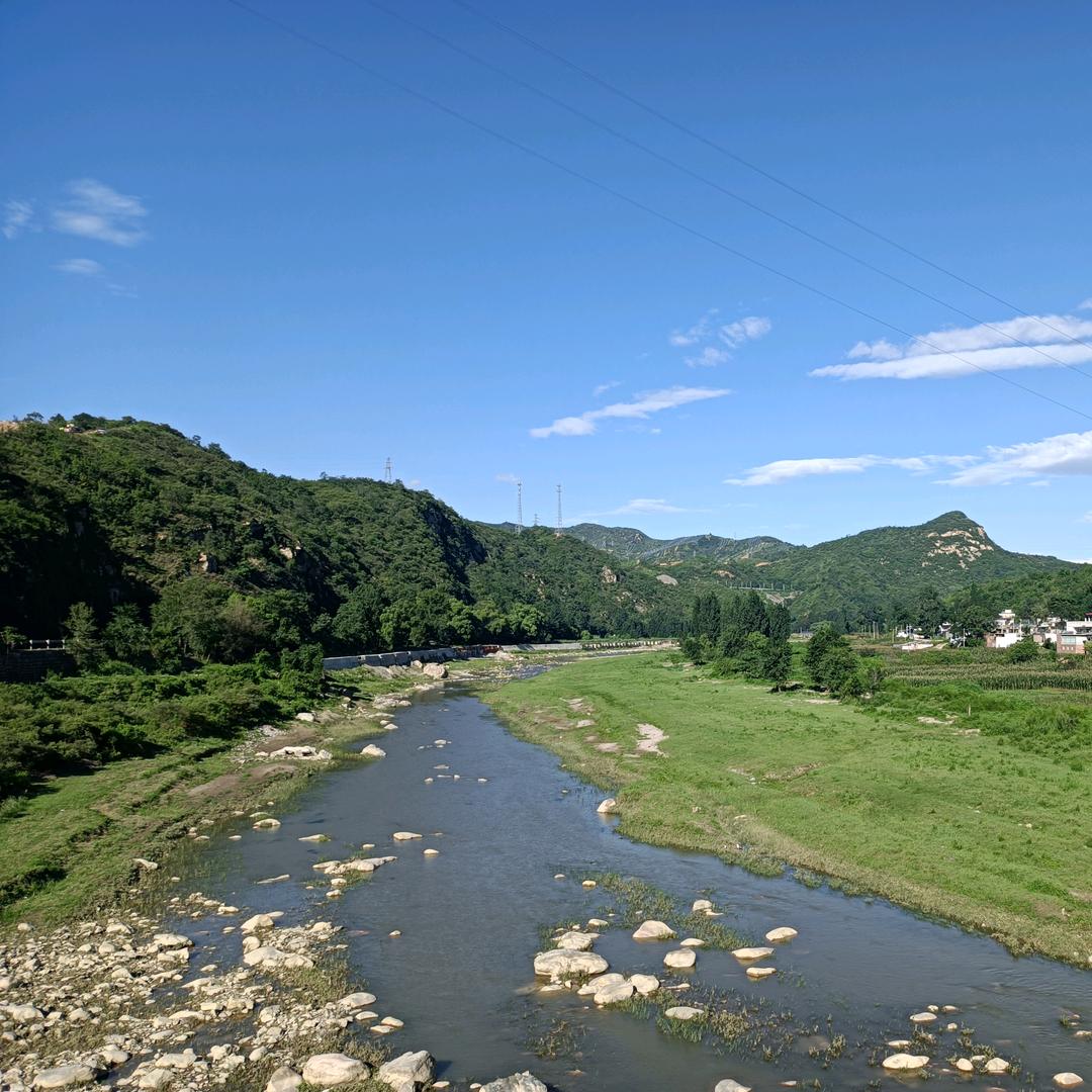 树之生命木之心