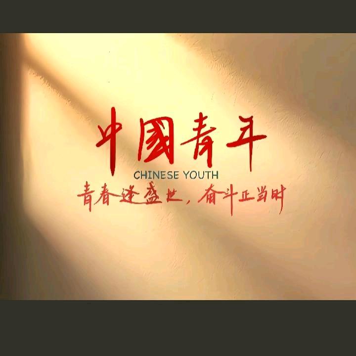韩非雪叶
