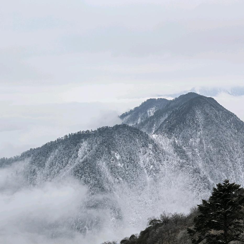 方寸之间  名道致远