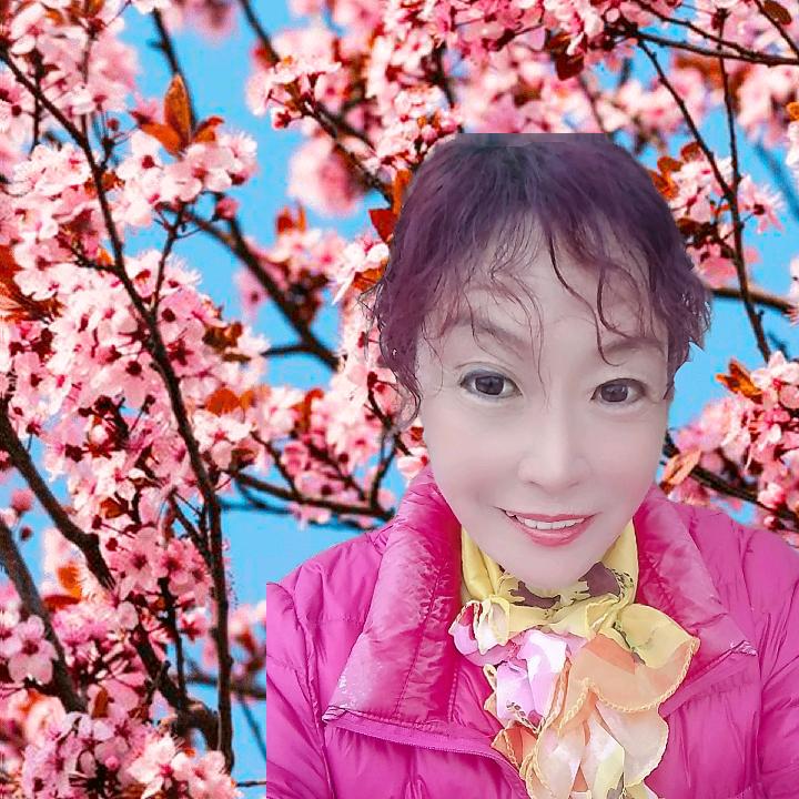 快乐看短剧