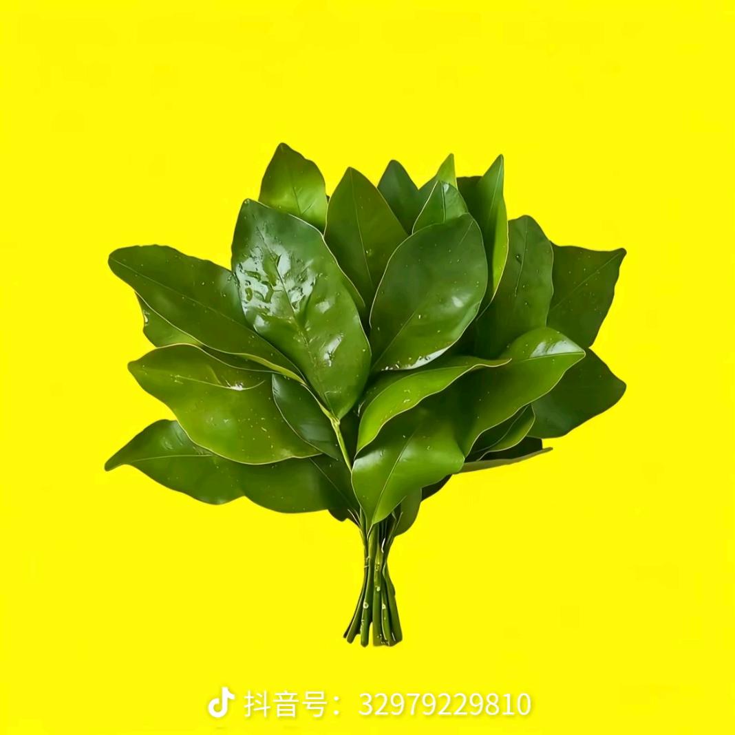 普通的我