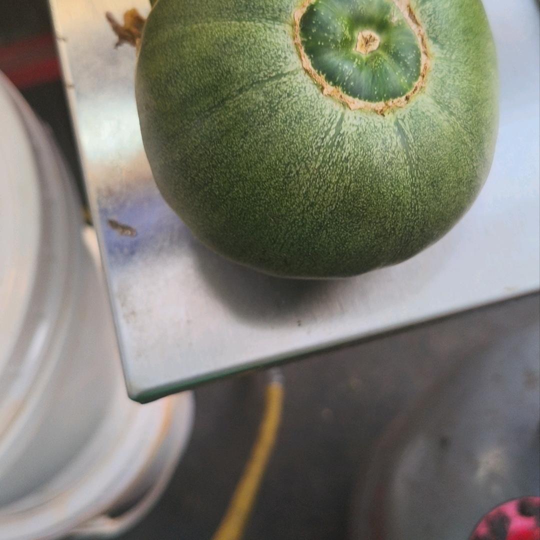 马大姐