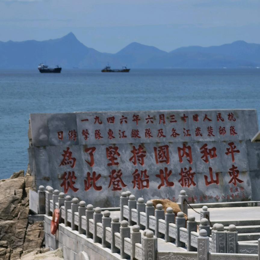 龙哥