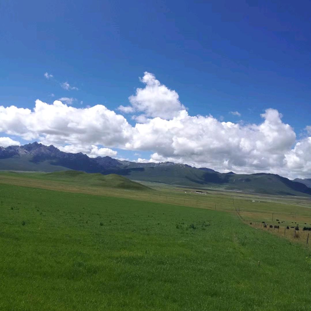 情系高原